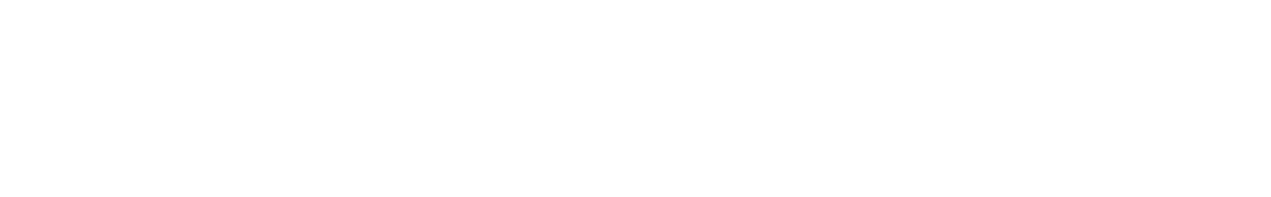 Africa Fest Logo